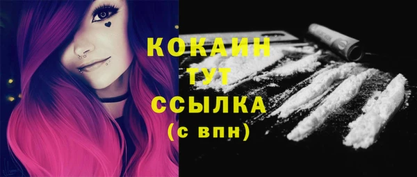 мдпв Саяногорск