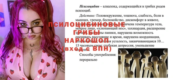 дурь Семёнов