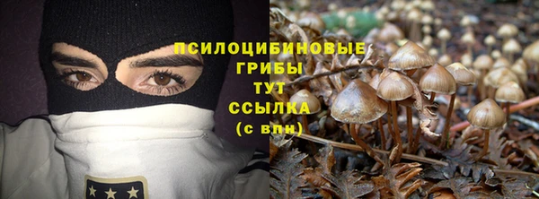дурь Семёнов